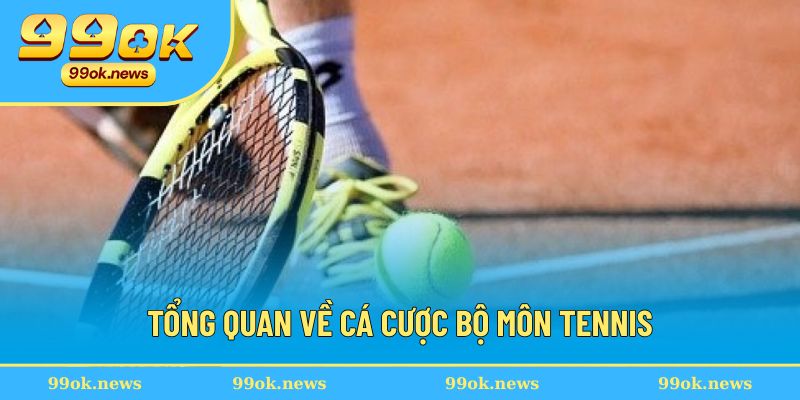 Hướng Dẫn Cá Cược Tennis Từ Cách Đặt Kèo Và Kinh Nghiệm Hay 2 Tổng quan về bộ môn tennis