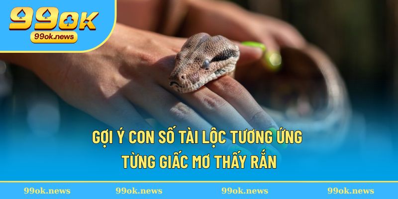 Gợi ý con số tài lộc tương ứng từng giấc mơ thấy rắn Gợi ý con số tài lộc tương ứng từng giấc mơ thấy rắn