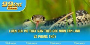 Mơ Thấy Rắn