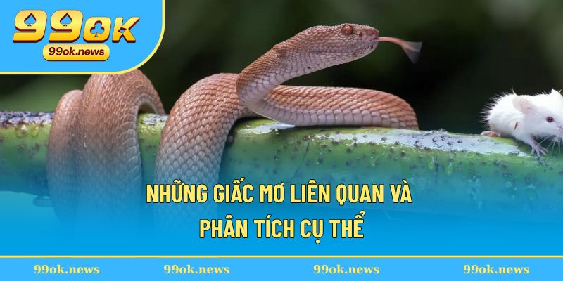Những giấc mơ liên quan và phân tích cụ thể Những giấc mơ liên quan và phân tích cụ thể