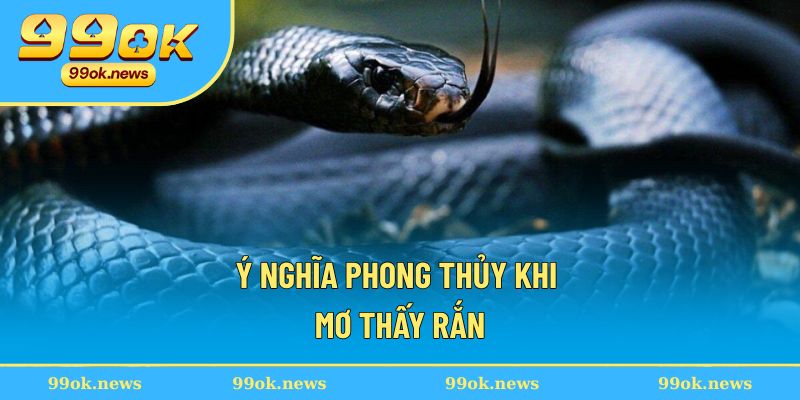 Ý nghĩa phong thủy khi mơ thấy rắn Ý nghĩa phong thủy khi mơ thấy rắn